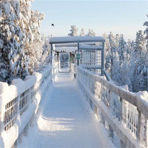 Ranua Resort Holiday Villas